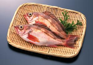 初心者でも楽しく遊べるホストクラブ