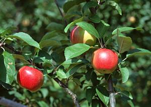 錦のクラブ・ラウンジのお手伝いで稼ぐ