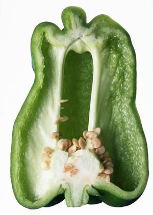 名古屋の錦で自由に働くことができる方法